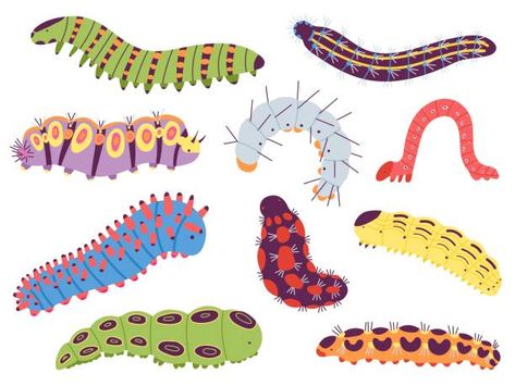 Cute Caterpillar Illustration, Caterpillar Drawing Illustration, Caterpillar Drawings, Centipede Illustration, Caterpillar Doodle, Caterpillar Drawing, Caterpillar Illustration, Worm Illustration, Caterpillar Cartoon