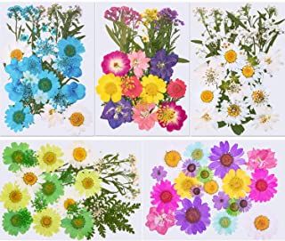 Amazon.com: resin supplies Making Nails, Nails Pendant, Diy Art Crafts, Jewelry Molds, Dried Pressed Flowers, Dry Leaves, Flower Bookmark, Dried And Pressed Flowers, Resin Supplies