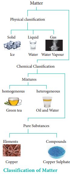 Classification Of Matter, Element Chemistry, Chemistry Study Guide, 11th Chemistry, Chemistry Basics, Learn Physics, Study Chemistry, Basic Physics, Chemistry Education