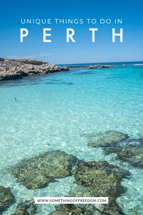 Unique Things To Do In Perth, Western Australia - Something of Freedom Best Places To Snorkel, Things To Do In Perth, Rottnest Island, Long Weekend Getaways, Wildlife Travel, Cheap Vacation, Oceania Travel, Kings Park, Perth Australia