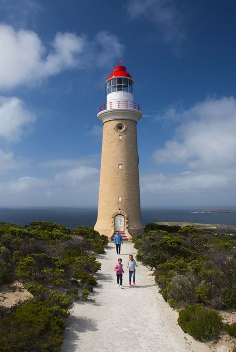 How long is the ferry journey from Cape Jervis to Kangaroo Island? Australia Landscape, Kangaroo Island, Australian Wildlife, South Australia, Kangaroo, Natural Wonders, Cape, Beautiful Landscapes, Lighthouse