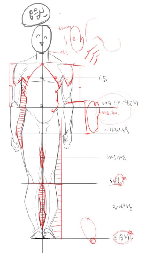 @annim1011 on twitter Body proportions Anatomy Tutorial, Art Advice, Human Anatomy Drawing, Body Sketches, Human Anatomy Art, Anatomy Sketches, Body Reference Drawing, Anatomy For Artists, Body Anatomy