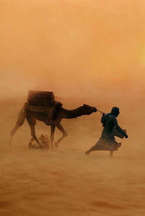 Timur Tengah, الفن الرقمي, Steve Mccurry, Afrikaanse Kunst, Desert Life, Desert Sand, Arabian Nights, People Of The World, In The Desert