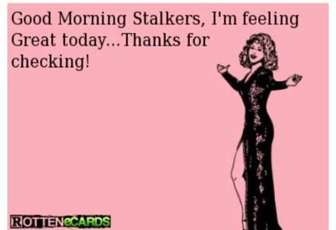 Good morning stalkers Sarcastic Humour, Fabulous Quotes, Know Who You Are, Ecards Funny, Bones Funny, Feeling Great, Get Over It, Good Morning, Funny Quotes