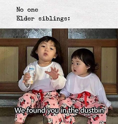 Meme about siblings Siblings Funny Quotes, Sibling Memes, Siblings Funny, The Maxx, Top Memes, Funny Relatable Quotes, Aberdeen, On The Ground, Really Funny Memes