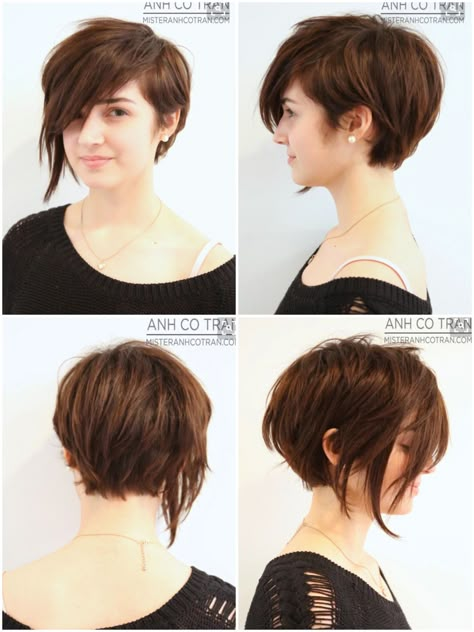 360 degrees of a nice cut. Wash And Go Short Hairstyles For Women, Hairstyle 360, Tan Skin Blonde Hair, Asian Short Hair, Layered Bob Hairstyles, Short Hair With Bangs, Short Hair Color, Alternative Hair, Hair Stylist Life