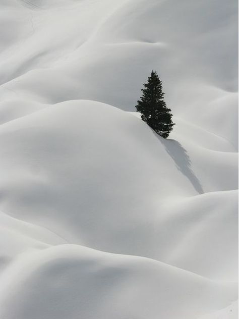 · Winter Mosaic, Snow Landscape, Snow Falling, Winter Szenen, Lone Tree, French Alps, Winter Magic, Winter Beauty, Snow Scenes