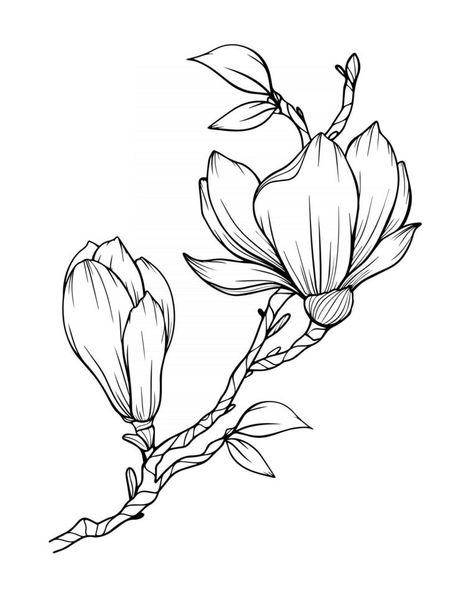 Magnolia Flower Outline Magnolia LIne Art Line Drawing Magnolia Flowers Drawings, Magnolia Ink Drawing, Magnolia Flower Design, Magnolia Blossom Drawing, Magnolia Art Drawing, Drawing Magnolia Flowers, Magnolia Flower Sketch, Magnolia Branch Drawing, Magnolia Embroidery Pattern