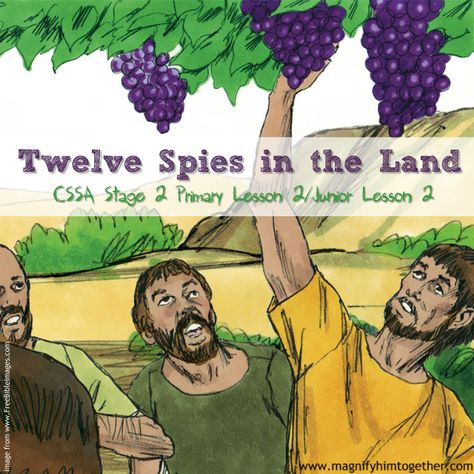 Moses Sends 12 Spies Craft, 12 Spies In Canaan, 12 Spies Bible Craft, Spy Games, Kids Ministry, Primary Lessons, King David, Object Lessons, Sunday School Lessons