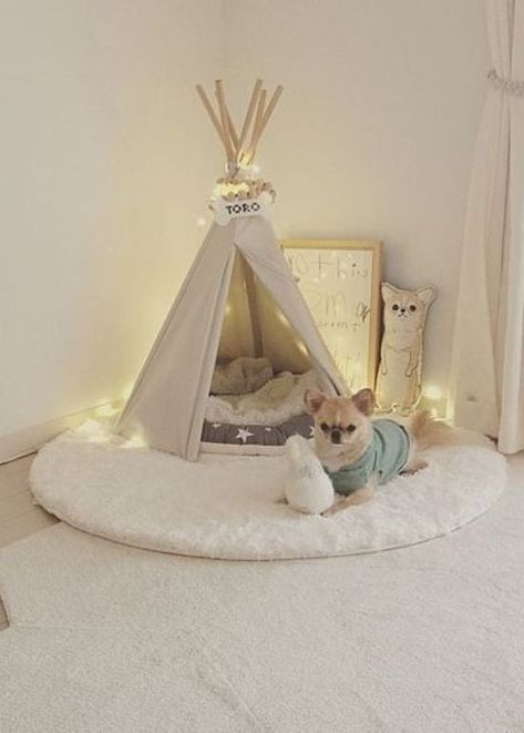 20 Dog Corner Ideas Your Fur Babies Will Adore Dog Bedroom Ideas, Creative Dog Bed, Dog Tent Bed, Dog Bed Ideas, Dog Room Design, Stylish Dog Beds, Dog Room Decor, Dog Bedroom, Cute Dog Beds