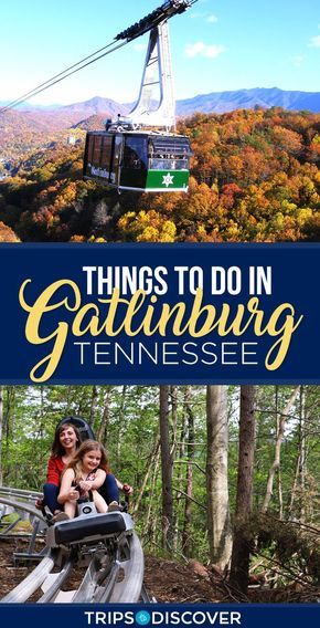 Things To Do In Gatlinburg, Cheap Things To Do, Gatlinburg Tennessee, Gatlinburg Tn, Cheap Things, Gatlinburg, Smoky Mountains, Tennessee, Things To Do