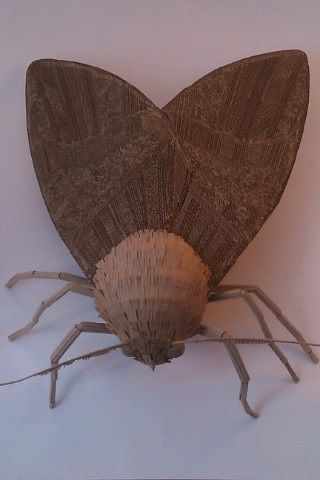 Cardboard Insects, Cardboard Bugs, Moth Sculpture, Cardboard Sculptures, Cardboard Art Sculpture, Cardboard Construction, Paper Mache Projects, Rachel Williams, Paper Architecture