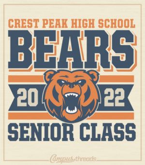 Class Apparel Ideas, Hometown Shirt Ideas, High School T Shirt Designs, Class T Shirt Ideas, Class Shirts Ideas, Volleyball Shirts Designs High Schools, Class Tshirts Designs, School Mascot Shirt Ideas, School Tshirt Designs Spirit Wear