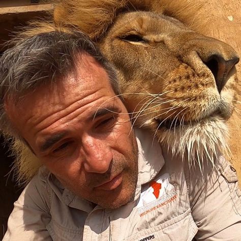 Lion Whisperer, Bitter Sweet Symphony, Kevin Richardson, Lion Images, Zootopia, The Lion, Animals Beautiful, Animals Wild, Youtube Channel