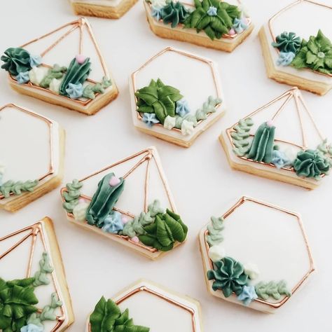 Succulent Cookies Royal Icing, Succulent Decorated Cookies, Royal Icing Succulents, Plant Themed Desserts, Succulent Cookies Decorated, Succulent Macarons, Succulents Cookies, Succulent Sugar Cookies, Plant Cookies