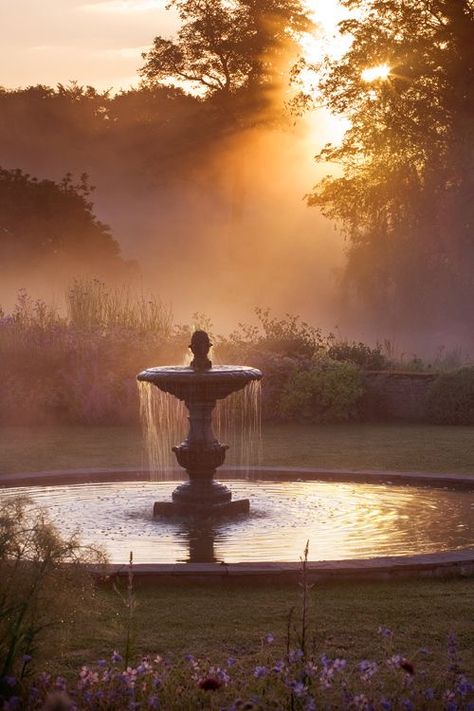 Garden Photography, Garden Photos, Gorgeous Gardens, Alam Yang Indah, Nature Aesthetic, Water Fountain, Dream Garden, Photo Contest, Norfolk