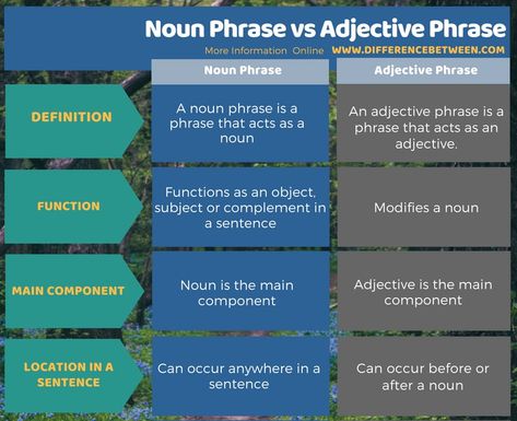 Difference Between Noun Phrase and Adjective Phrase 3 Alpha And Beta Receptors, Adrenergic Receptors, Peptide Bond, Parasympathetic Nervous System, Structure And Function, Skeletal Muscle, Do What Is Right, Pharmacology, Citric Acid