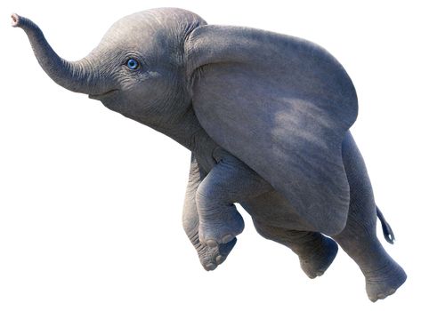 Dumbo 2019, Jumbo Elephant, Flying Elephant, Elephant Ears, Animation Film, The Creation, User Profile, Walt Disney, Elephant