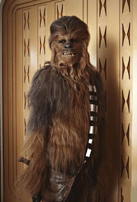 Chewbaca: Bigfoot's cousin Peter Mayhew, Star Wars Celebration, Star Wars Tattoo, Mark Hamill, The Empire Strikes Back, Star Wars Movie, Harrison Ford, Star Wars Episodes, Chewbacca