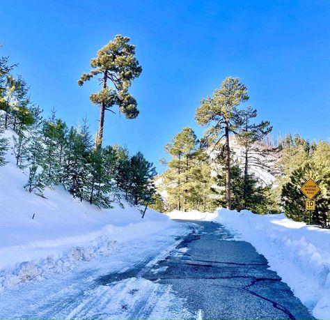 Everything You Need to Know Before Hiking Picacho Peak - Happily Pink Mount Lemmon, Fresh Snowfall, Skiing Lessons, Walking The Plank, Sonoran Desert, Before Sunrise, Snow Storm, Snow Day, Ski And Snowboard