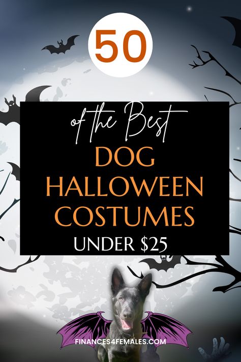 Puppy Halloween Costume Pets, Pet Costumes For Dogs, Halloween Costumes For Dogs, Best Dog Halloween Costumes, Puppy Halloween Costumes, Costumes For Dogs, Puppy Tips, Wonder Pets, The Best Halloween Costumes