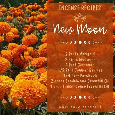 Willow Witchcraft (@willow.witchcraft) • Instagram photos and videos New Moon Oil Blend, Incense Blend Recipes, Loose Incense Recipes, Incense Recipes, Yule Ideas, Moon Incense, Incense Blends, Moon Time, Witch Quotes