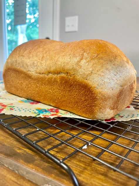 Honey Wheat Sourdough Discard Sandwich Bread – Over Easy Homestead Sourdough Discard Wheat Bread, Honey Wheat Sourdough Bread Recipe, Sourdough Sandwich Bread With Honey, Sourdough Honey Wheat Sandwich Bread, Sourdough Wheat Thins, Sourdough Whole Wheat Sandwich Bread, Sourdough Bread Sandwiches, Sourdough Pancakes, Sourdough Sandwich