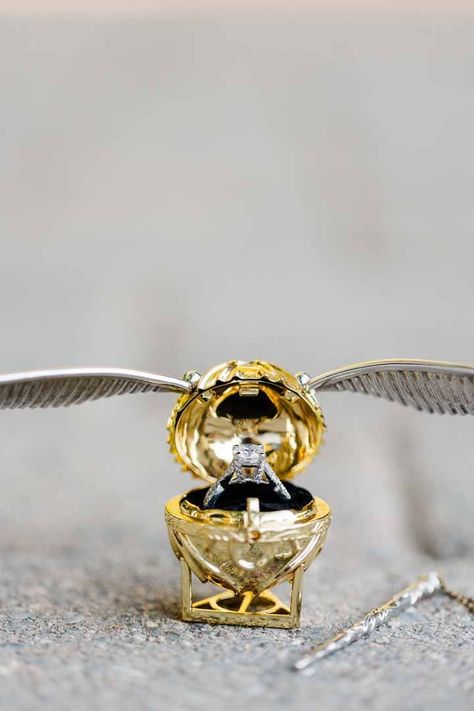 Golden Snitch engagement ring box || Knoxville Wedding Photographer || Amanda May Photos Snitch Ring Box, Golden Snitch Ring Box, Golden Snitch Ring Holder, Engagement Rings Harry Potter, Harry Potter Engagement Rings, Harry Potter Wedding Ring, Proposal Ring Box Ideas, Harry Potter Ring Box, Harry Potter Engagement Ring