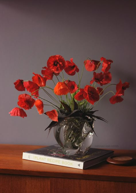 Poppy Aesthetic, Poppy Flower Bouquet, Red Flower Arrangements, Floral Designs Arrangements, Poppy Bouquet, Flower Therapy, Red Poppy, Pretty Plants, Painting Class