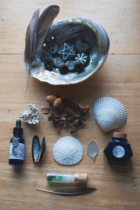 #Wiccan #Wicca #Pagan Witch Kit, Water Witch, Pagan Crafts, Witches Altar, Witchy Crafts, Wicca Witchcraft, Sea Witch, Practical Magic, Witch Aesthetic