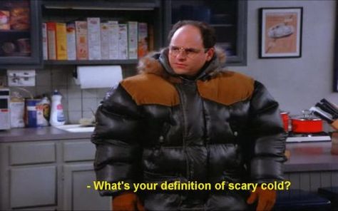 Seinfeld George, Seinfeld Funny, Seinfeld Quotes, George Costanza, Larry David, Jerry Seinfeld, Serenity Now, Great Tv Shows, Seinfeld