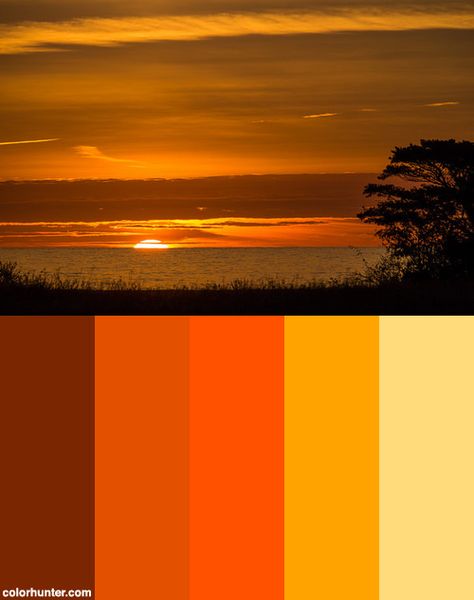 Sunset Color Scheme from colorhunter.com Lion King Color Palette, Ocre Color Palette, Trendy Orange Nails, Orange Nails Design, Spring Color Combos, Sunset Color Scheme, Nails Design Spring, Color Ocre, Sunset Color Palette