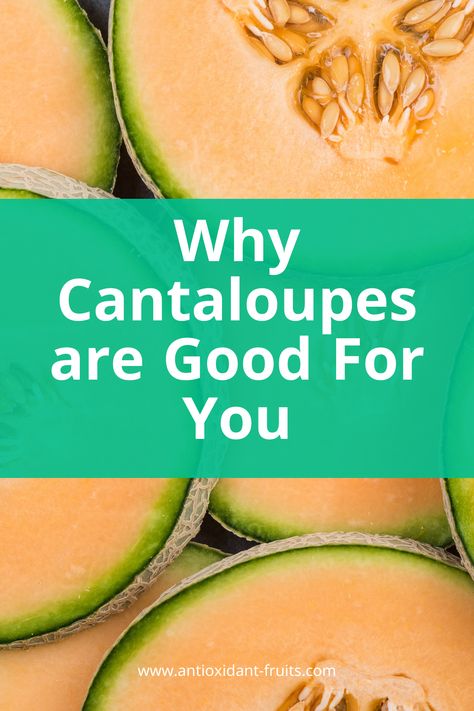 cantaloupe fruit Cantaloupe Benefits Nutrition, Is Cantaloupe Good For You, Health Benefits Of Cantaloupe, Cantaloupe Juice Benefits, Cantelope Fruit Benefits, Cantelope Melon Recipes, Cantelope Melon, Cantaloupe Health Benefits, Melon Diet