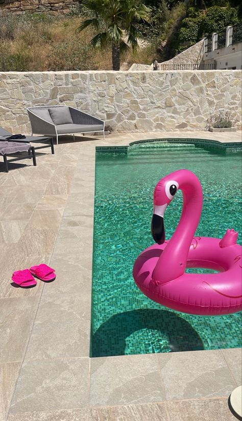 Pink Aesthetic Vacation, Flamingo Pool Float Aesthetic, Pink Vacation Aesthetic, Pink Pool Aesthetic, Flamingo Pink Aesthetic, Pink Swimming Pool, Flamingo Swimming Pool, Flamingo Aesthetic, Pink Pool