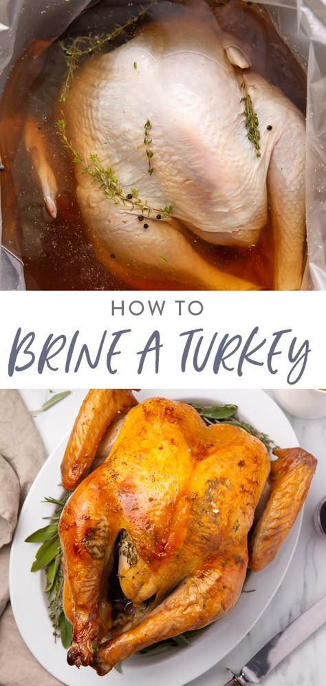 Season Turkey, Best Turkey Brine, Easy Turkey Brine, Turkey Brine Recipe, Dry Brine Turkey, Best Turkey Recipe, Moist Turkey, Turkey Brine Recipes, Roast Turkey Recipes