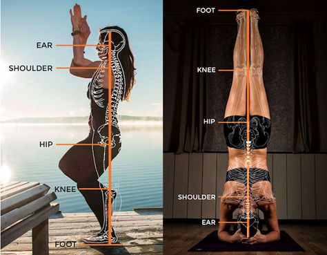 Baptiste Power Vinyasa Yoga Methodology - The Centerline, The 10 Tenets of Teaching Baptiste Yoga - Jen Tech Yoga Rocket Yoga Sequence, Power Vinyasa Yoga, Baptiste Yoga, Prenatal Yoga Third Trimester, Yoga First Trimester, Yoga Vidya, Jnana Yoga, Vinyasa Flow, Chair Yoga