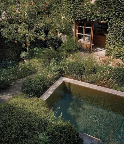 Taking in the verdant view from Slow Roads. Luciano Giubbilei and Maria Antonia Carrio’s house in Mallorca. Luciano Giubbilei, Creative Retreat, Potters House, Piscina Natural, Garden Pool, Perfect Garden, Pool Designs, Puglia, Landscape Architecture