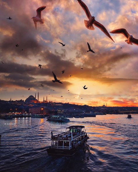 ✿ ❤   Galata Bridge Istanbul, we live to discover beauty @visitist sunset view from galata bridge with a panoramic view of #Istanbul #visitistanbul #turkey & joining the rows of fishermen & sea gulls on the bridge .  photo @dotzsoh @dotzsoh2 . Galata Bridge, Istanbul Turkey Photography, Visit Istanbul, Istanbul Photography, Istanbul City, Istanbul Travel, Sunset View, Hagia Sophia, Turkey Travel