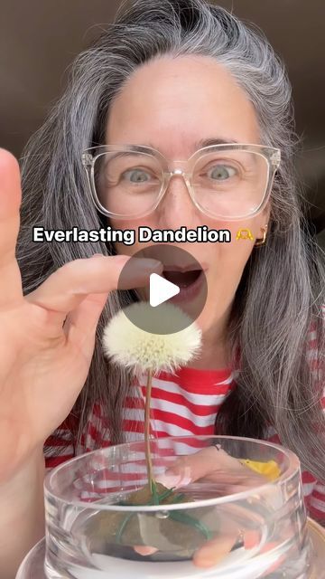 Mrs Clare Hooper on Instagram: "Don’t let those dandelion wishes fly away! Why not capture them in a jar with this simple DIY, isn’t this one perfect for little and big kids!? 😜 

TopTips : 

1) let the moisture out daily to stop it going mouldy, or use something like rice/silica sachet 

2) Some say to spray with hairspray lightly to to keep it in place (I won’t keep mine past the summer) 

I’m desperate to squeeze in the time to make more dandelion crafts before we head to Sweden for a wedding this weekend, or do you think they will still be here next week??? 

Clare XO 

#dandelionwishescometrue #terrariumlife #craftgram #dandelionmagic #terrariumvibes #diyfun" Dandelion Crafts, Dandelion Fairy, Dandelion Art, Dandelion Wishes, Dandelion Wish, In A Jar, Arts And Crafts For Kids, Simple Diy, Next Week