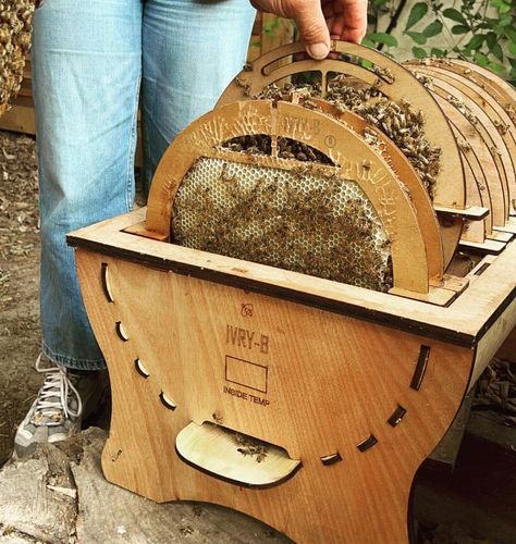 transparent and round beehive lets keepers see the bees and collect honey using a drawer Honey Extractor, Beehive Design, Concrete Interiors, Wooden Barrel, Red Dot Design, Parquet Flooring, Living Environment, London Design, Design Museum