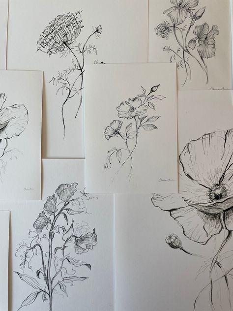 Wild Roses Pencil Drawing Art Print Simple Wildflower Home Decor Illustration Minimal Botanical Wall Artwork Delicate Aesthetic Sketch - Etsy Botanical Wall Stencil, Simple Sketch Ideas Aesthetic, Home Drawing Simple, Nature Pencil Drawings, Simple Flower Sketch, Floral Sketch Drawing, Aesthetics Sketch, Flower Drawing Pencil, Sketches Of Flowers