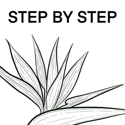 Kaily Wilson on Instagram: "STEP BY STEP BIRD OF PARADISE The bird of paradise flower represents faithfulness, love and thoughtfulness. A perfect addition to our February tutorials. Don’t be intimidated by the silhouette, once you get going, it really is similar to creating a number of long leaf shapes! I hope you had a great weekend, happy Monday!" How To Draw Bird Of Paradise Flower Step By Step, Bird Of Paradise Drawing, 2024 Challenge, Paradise Painting, Bird Of Paradise Flower, Flower Step By Step, Birds Of Paradise Flower, Flower Henna, Diy Birds