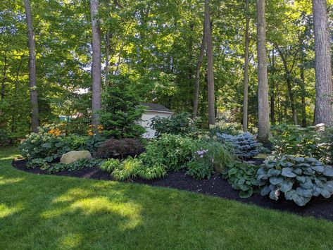 Landscaping Along Tree Line, Backyard Tree Landscaping Ideas, Front Yard Landscaping Natural, Shady Backyard Landscaping Designs, Natural Areas Landscaping, Backyard Berm Ideas, Wooded Landscape Ideas Front Yards, Berm Flower Beds, Berm Along Fence