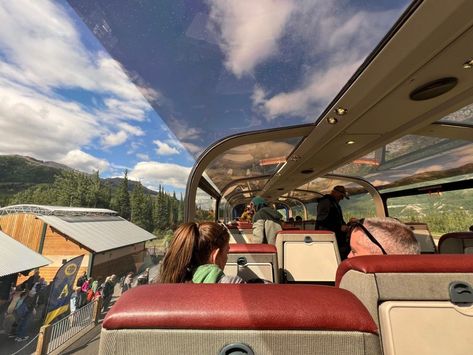 I paid an extra $114 for a premium ticket on the Alaska Railroad. The value of my 4-hour train ride was incredible. Travel Alaska, Alaska Railroad, Dome Ceiling, Observation Deck, Denali National Park, Train Ride, Alaska Travel, Train Car, Train Rides