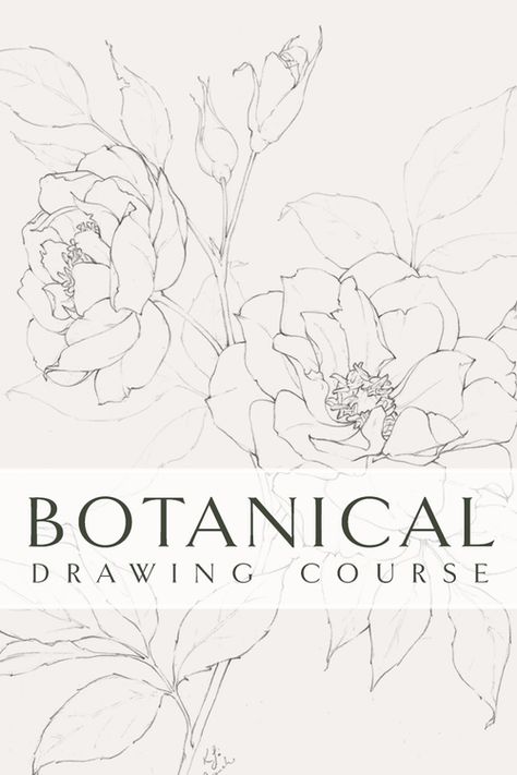 3 Composition Tips for Drawing — Katrina Crouch | Blushed Design Floral Ink Drawing, Ink Shading, Botanical Sunflower, Botanical Art Drawing, Sunflower Ideas, Botanical Sketches, How To Draw Anything, Art Supplies List, Botanical Sketchbook