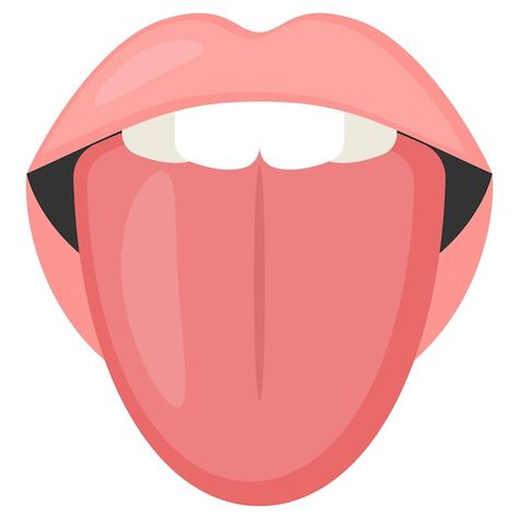 Taste buds on human tongue and teeth con... | Premium Vector #Freepik #vector #anatomy #membrane #biology #medical-science Tongue Images, Human Tongue, Cvc Words Kindergarten, Creative Wall Decor, Organ System, Stomach Problems, Eye Makeup Art, Creative Wall, Anatomy Art