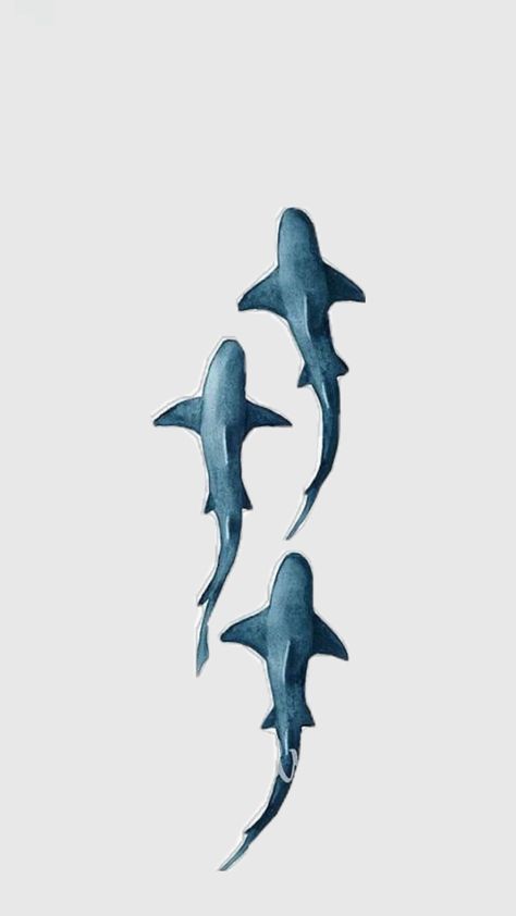 Sharks Wallpaper, Shark Background, Shark Wallpaper, Wall Art Diy Paint, Cute Summer Wallpapers, Paper Background Design, Cute Shark, Island Art, Hippie Wallpaper