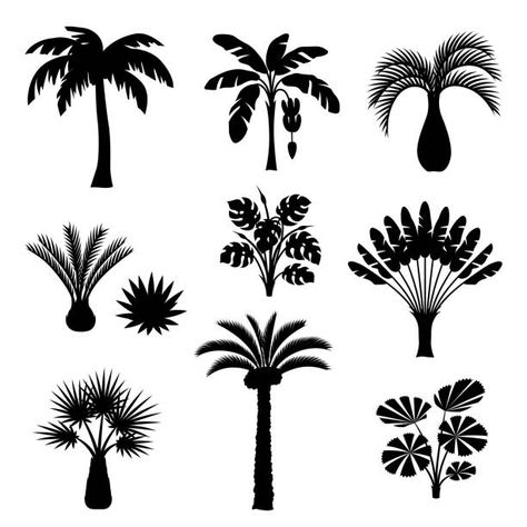 119,075 Palm Tree Illustrations, Royalty-Free Vector Graphics & Clip Art - iStock Tropical Plants Illustration, Palm Tree Icon, Palm Tree Drawing, Jungle Nature, Plants Illustration, Palm Tree Vector, Tropical Palm Trees, Palm Tree Silhouette, Palm Tree Art