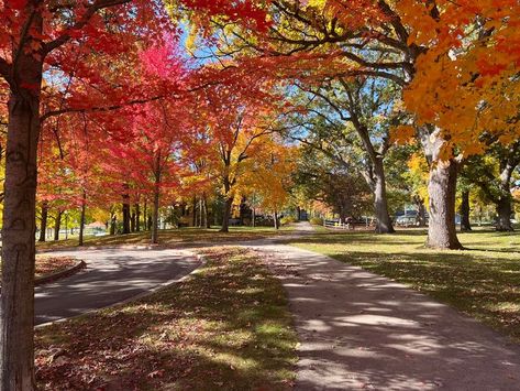 Illinois Landscape, Belvidere Illinois, Autumn Painting, Painting Ideas, Illinois, Landscape Photography, Places To Visit, Country Roads, Road