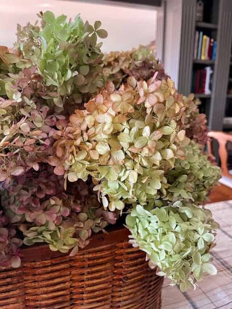 Dry Hydrangeas, Cozy Crafts, Decoupage Pumpkins, Summer Table Decorations, Pumpkin Planter, Fall Hydrangea, Preserved Hydrangea, Pumpkin Topiary, Fragrant Garden